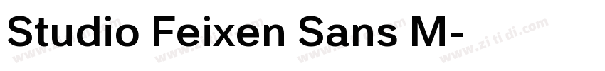 Studio Feixen Sans M字体转换